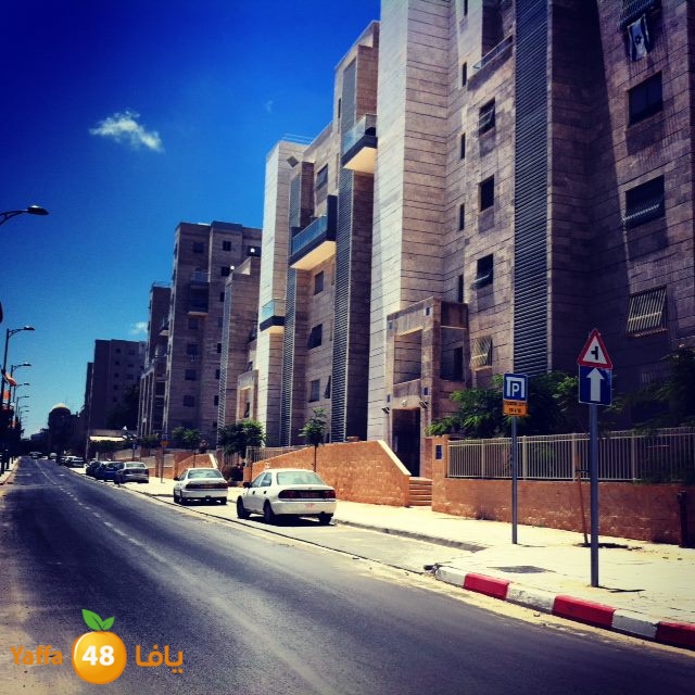 shabibayafiya lud 618 (4).jpg